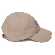 U of X - embroidered hat (stone)