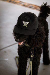 Xen Offline Butterfly Cap